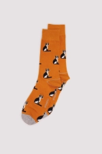 Бавовняні шкарпетки з принтом у вигляді котів