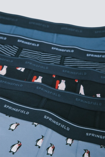 Набір із 5 трусів-боксерів з бавовни