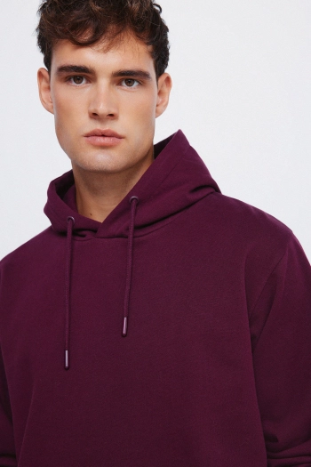 Базовый свитшот с капюшоном