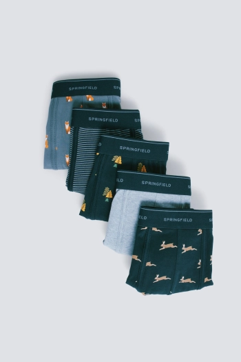 Набір із 5 трусів-боксерів з бавовни